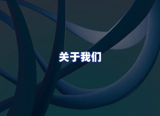 专业团队
